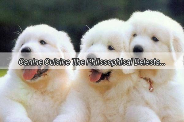 Canine Cuisine The Philosophical Delectation of Mans Best Friend